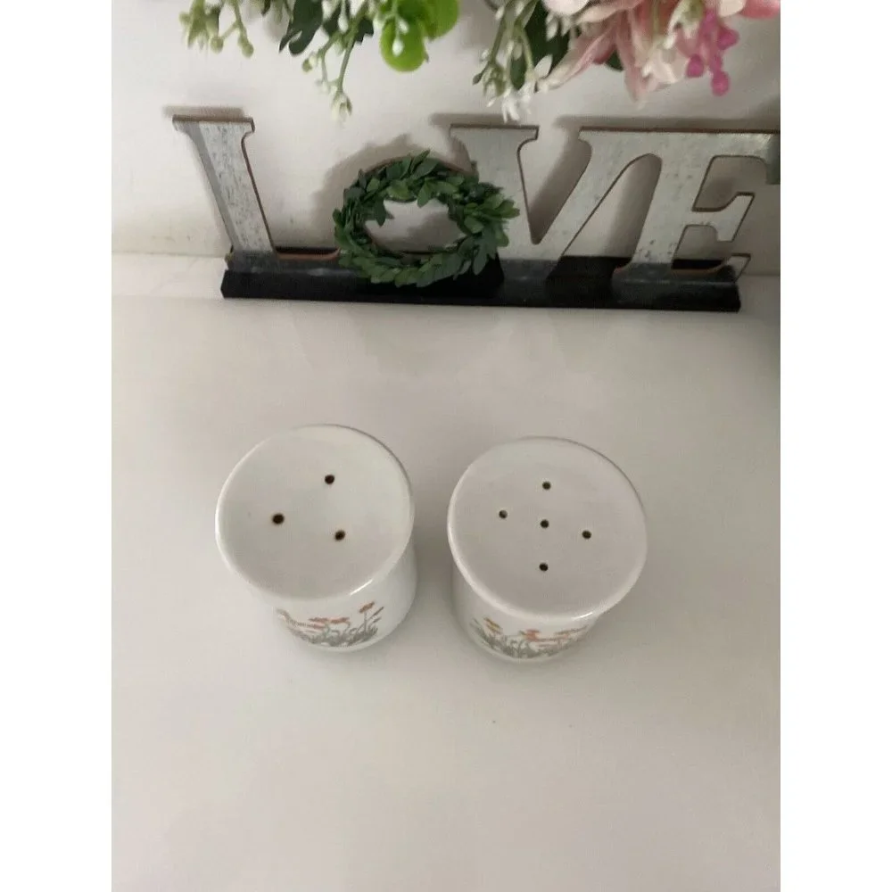 Takashi‎ Ceramic Salt and Pepper Shakers Orange Flowers